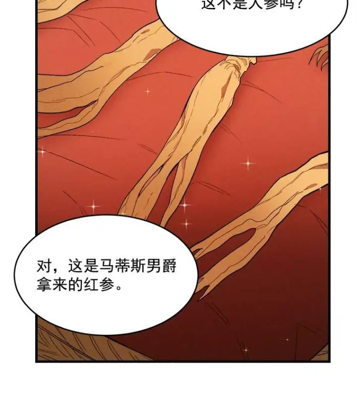 漫画《皇家厨师小姐》33.恢复元气的料理第92张图
