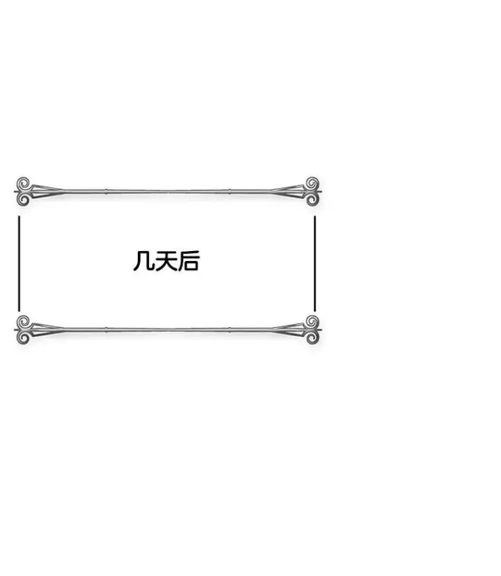 漫画《皇家厨师小姐》38.捉到叛徒第66张图