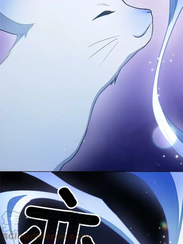漫画《皇家厨师小姐》78.莫林第101张图