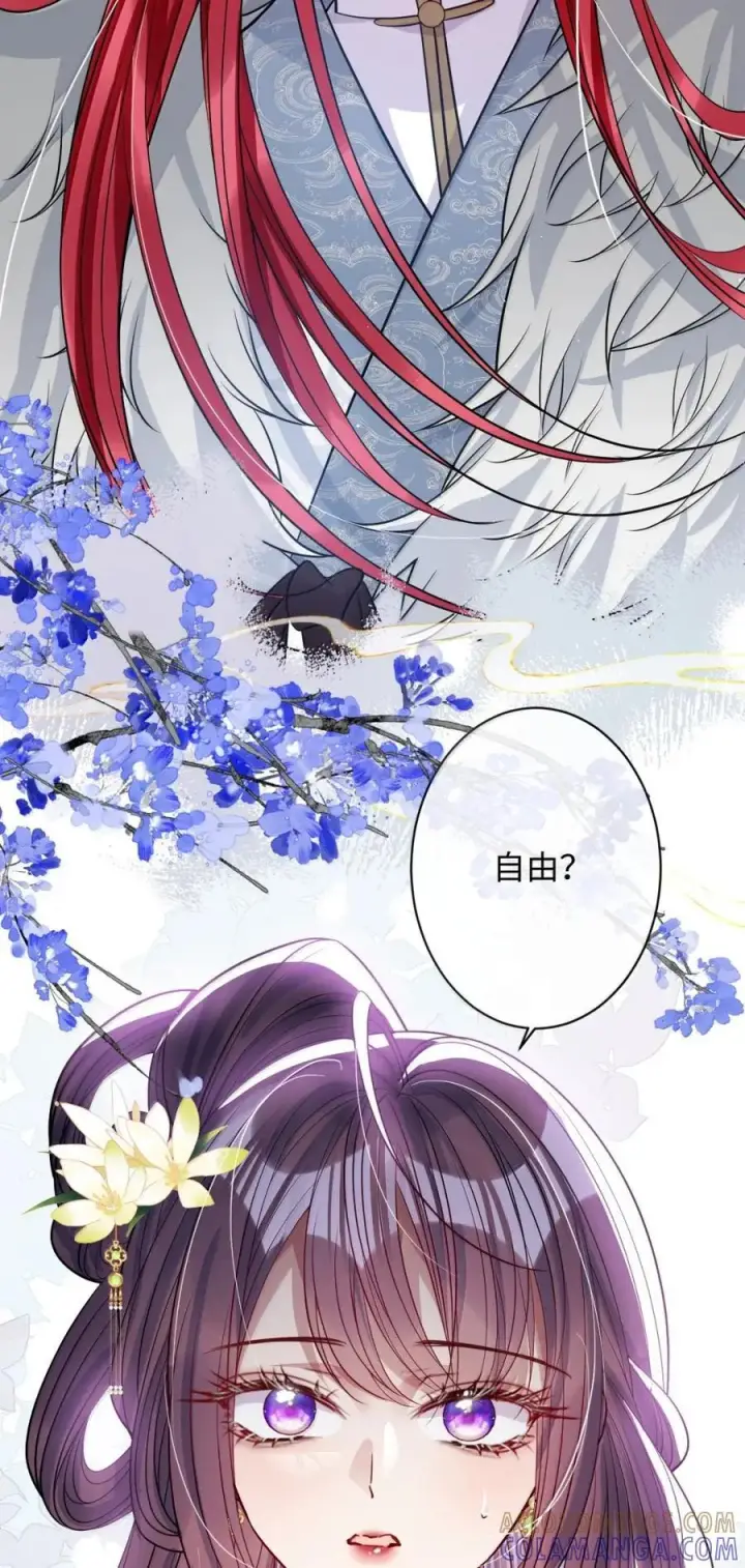 漫画《娇养了个疯批美人儿》068 你自由了第11张图