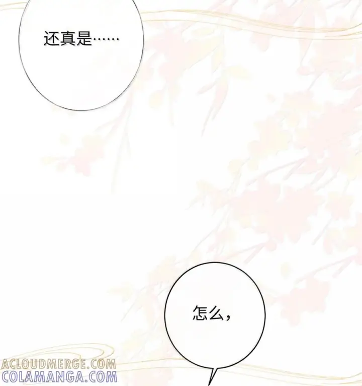 漫画《娇养了个疯批美人儿》077 藏娇第49张图