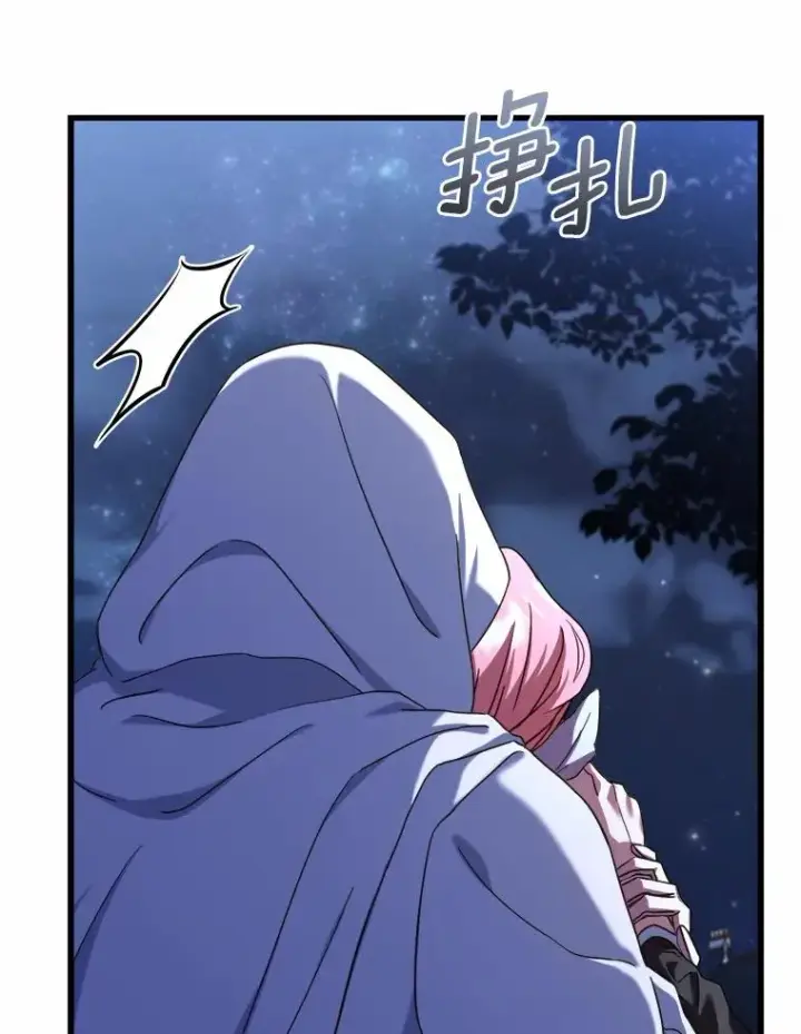 漫画《解除婚约的代价》19.教皇的试探第86张图