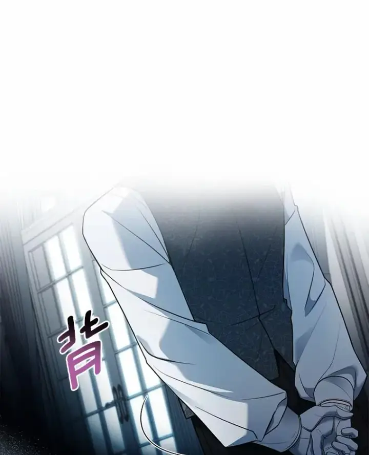 漫画《解除婚约的代价》50.选择圣女的理由第114张图