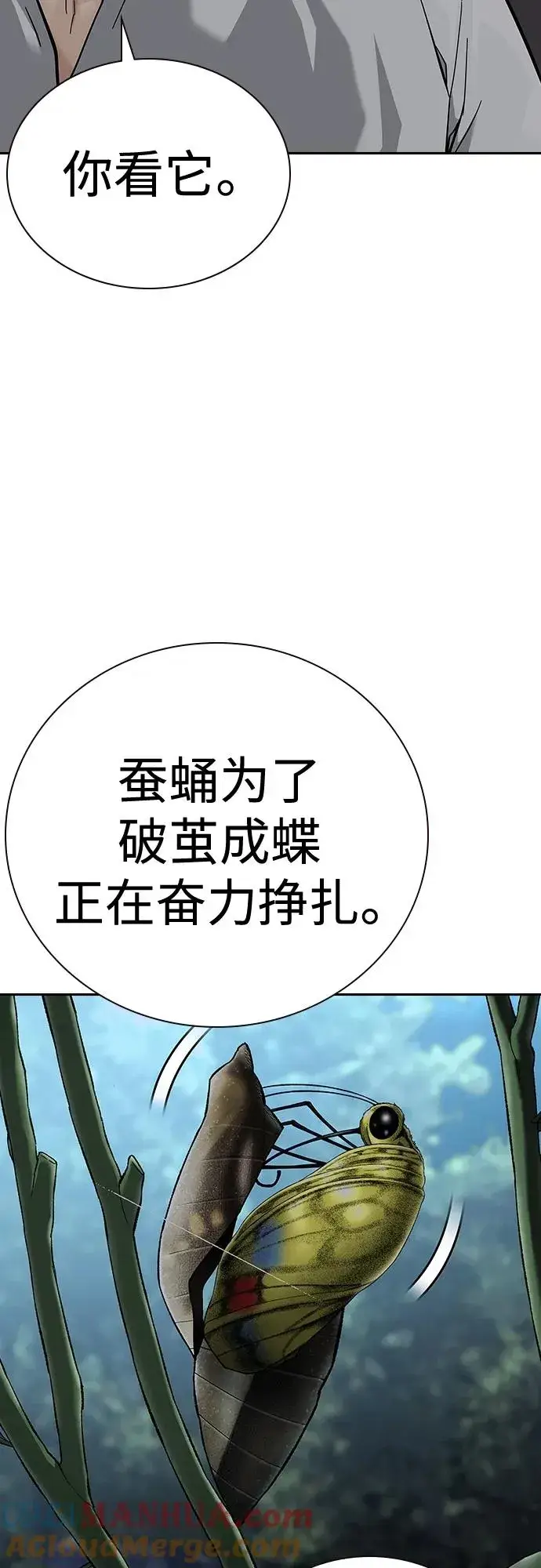 漫画《街头生存手册》[第2季] 第44话第43张图