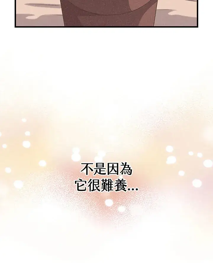 漫画《精灵农夫》第44话第53张图