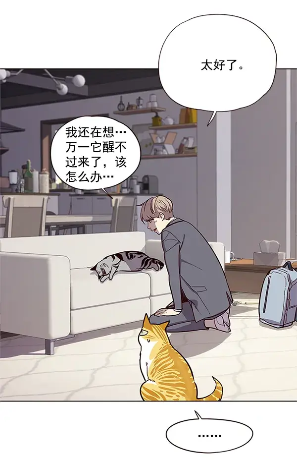 漫画《觉醒吧，铲屎官！》第7话第105张图