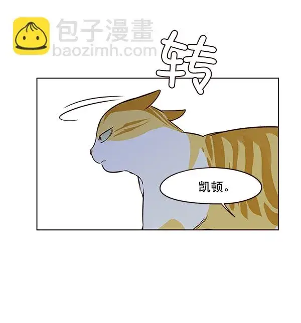 漫画《觉醒吧，铲屎官！》第7话第123张图