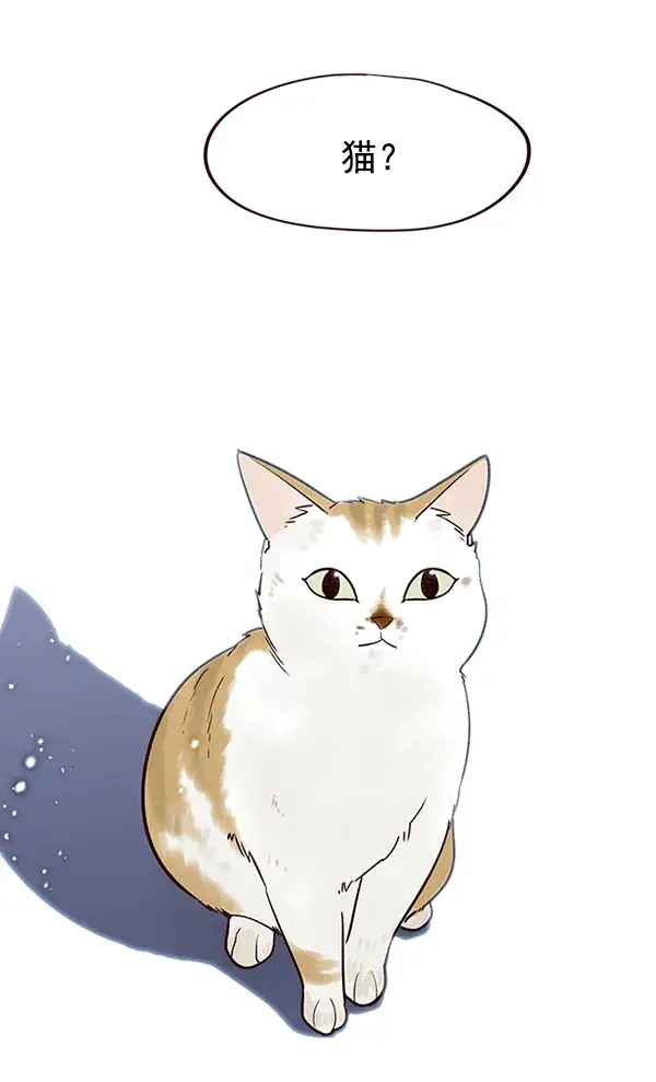 漫画《觉醒吧，铲屎官！》第7话第17张图