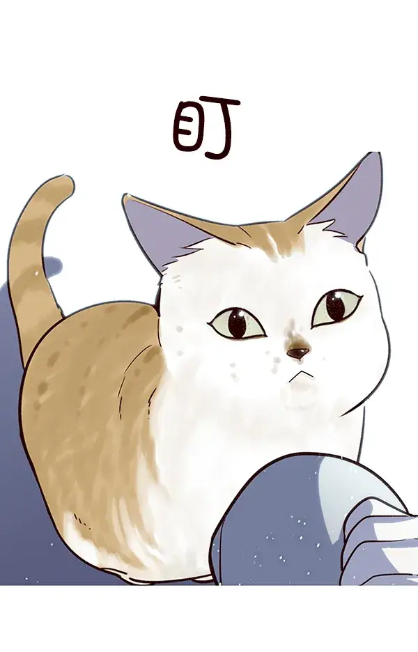漫画《觉醒吧，铲屎官！》第7话第23张图