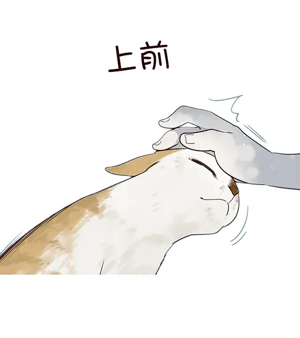漫画《觉醒吧，铲屎官！》第7话第26张图
