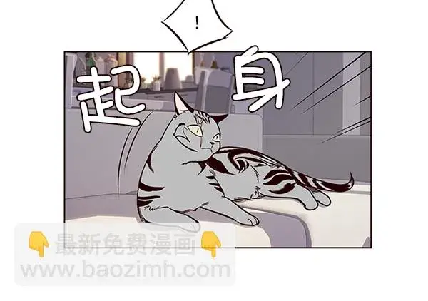 漫画《觉醒吧，铲屎官！》第7话第72张图