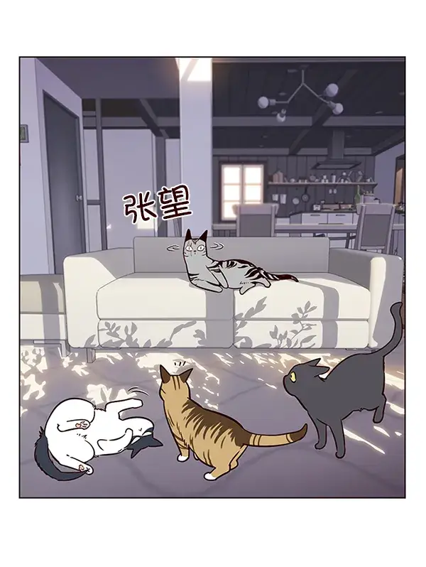 漫画《觉醒吧，铲屎官！》第7话第73张图