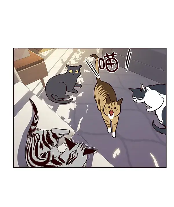 漫画《觉醒吧，铲屎官！》第7话第74张图