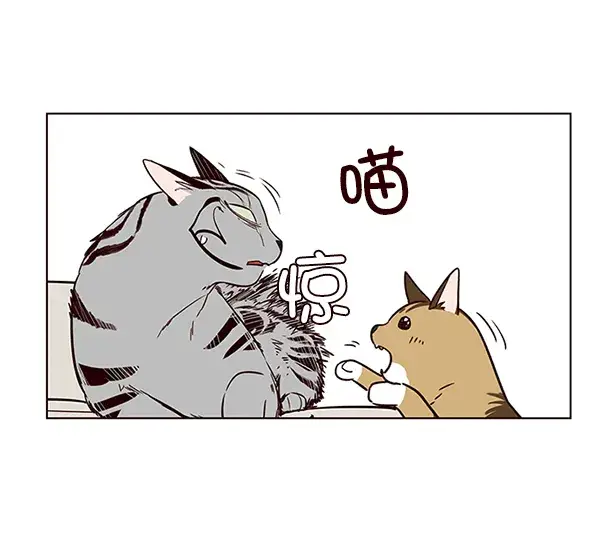 漫画《觉醒吧，铲屎官！》第7话第75张图
