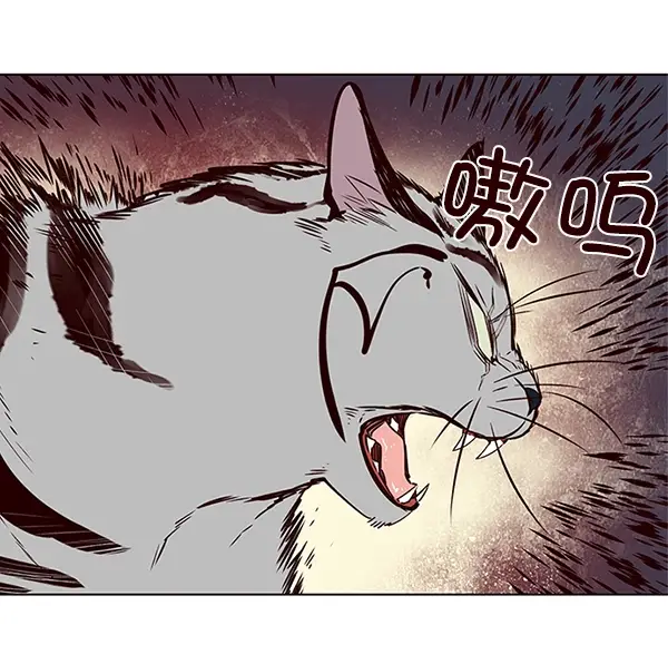 漫画《觉醒吧，铲屎官！》第7话第76张图