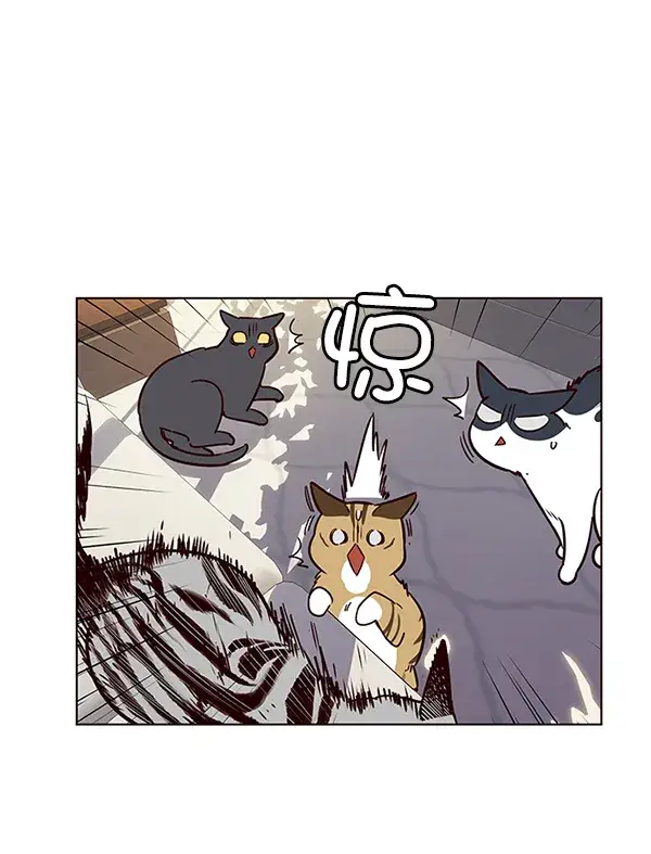 漫画《觉醒吧，铲屎官！》第7话第77张图