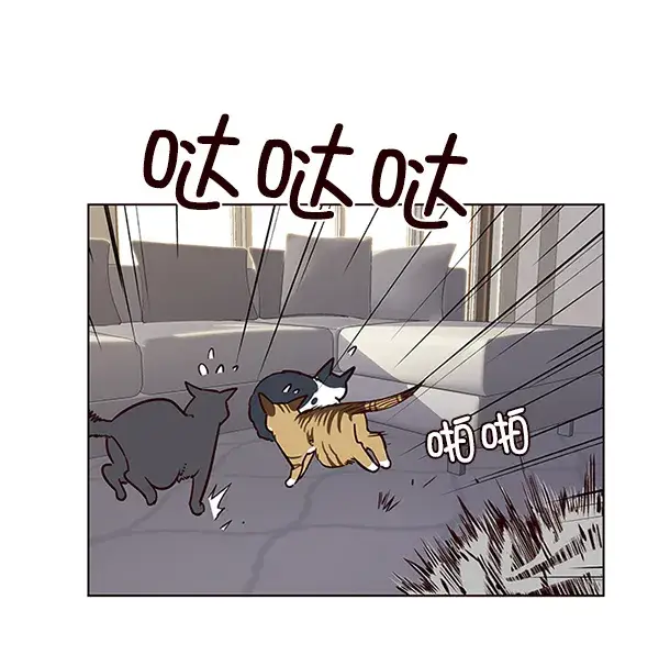 漫画《觉醒吧，铲屎官！》第7话第78张图
