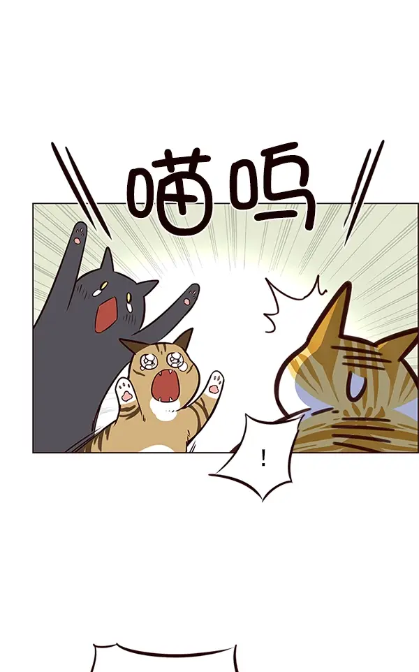漫画《觉醒吧，铲屎官！》第7话第90张图