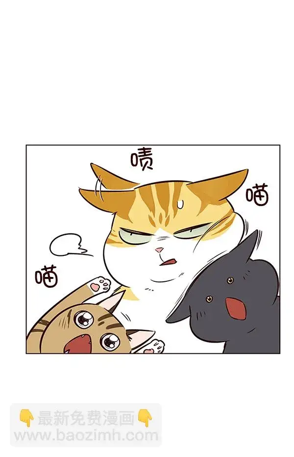 漫画《觉醒吧，铲屎官！》第7话第92张图