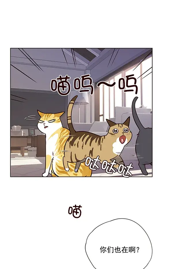 漫画《觉醒吧，铲屎官！》第7话第94张图
