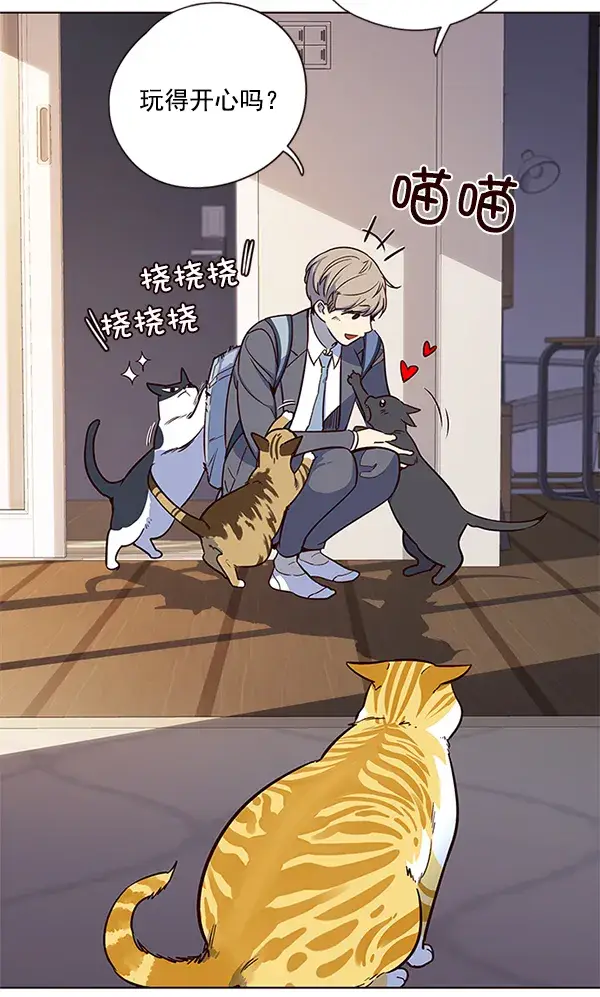 漫画《觉醒吧，铲屎官！》第7话第95张图
