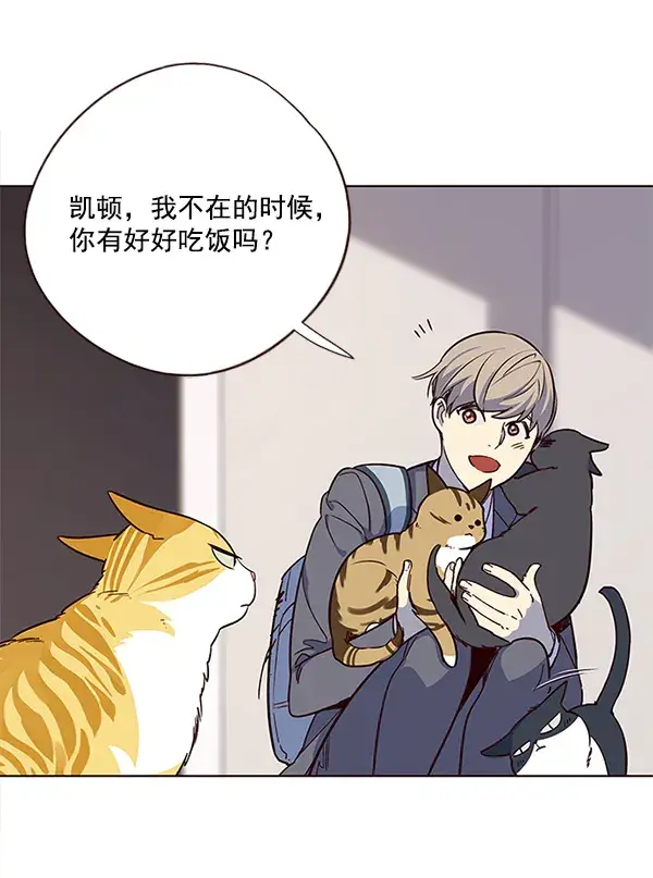 漫画《觉醒吧，铲屎官！》第7话第97张图