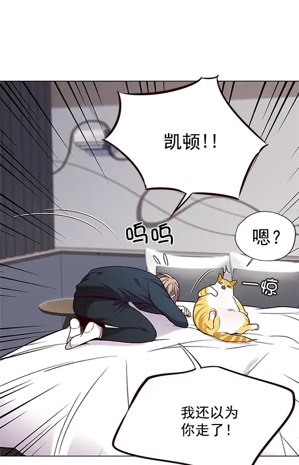 漫画《觉醒吧，铲屎官！》第99话第112张图