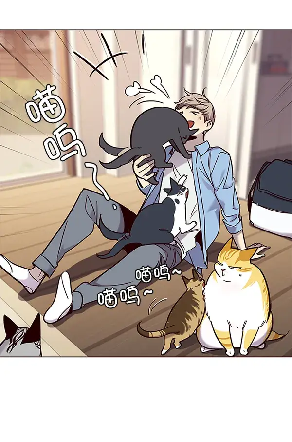 漫画《觉醒吧，铲屎官！》第99话第123张图