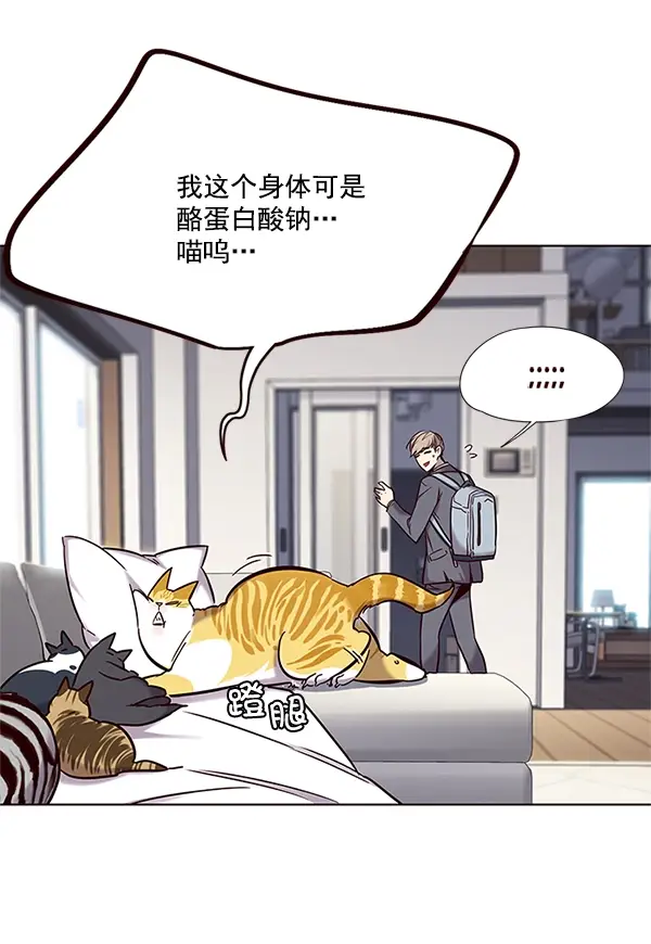 漫画《觉醒吧，铲屎官！》第100话第5张图