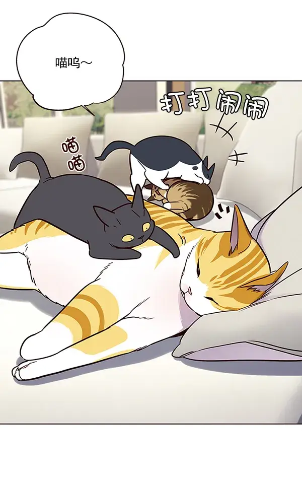 漫画《觉醒吧，铲屎官！》第101话第3张图