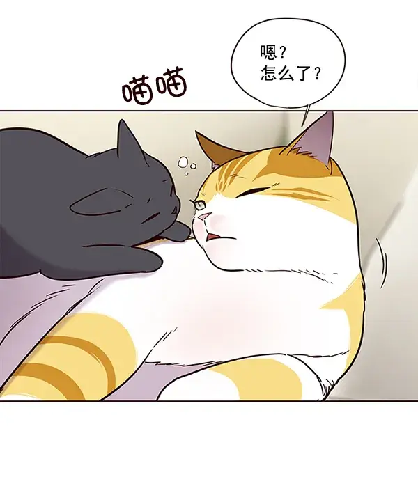 漫画《觉醒吧，铲屎官！》第101话第4张图