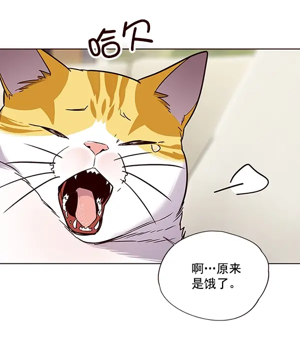 漫画《觉醒吧，铲屎官！》第101话第5张图