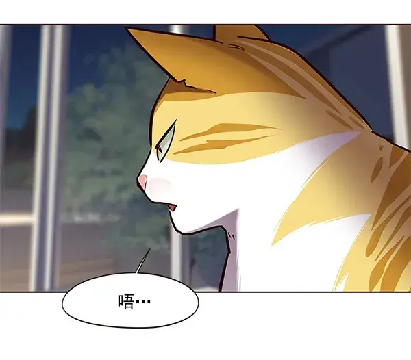 漫画《觉醒吧，铲屎官！》第104话第132张图