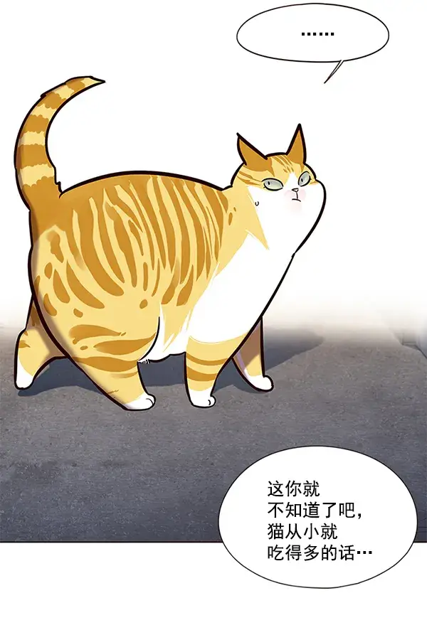 漫画《觉醒吧，铲屎官！》第105话第21张图