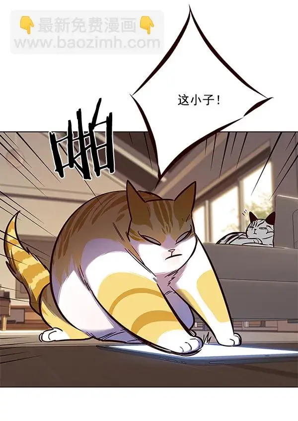 漫画《觉醒吧，铲屎官！》第106话第91张图