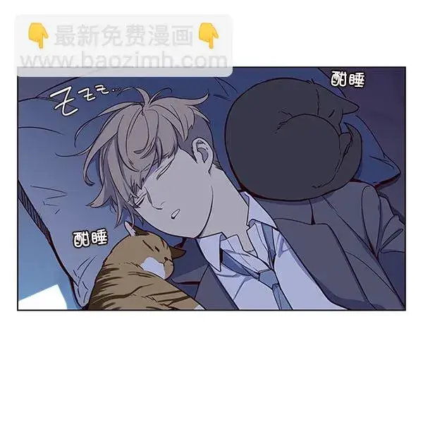 漫画《觉醒吧，铲屎官！》第8话第28张图