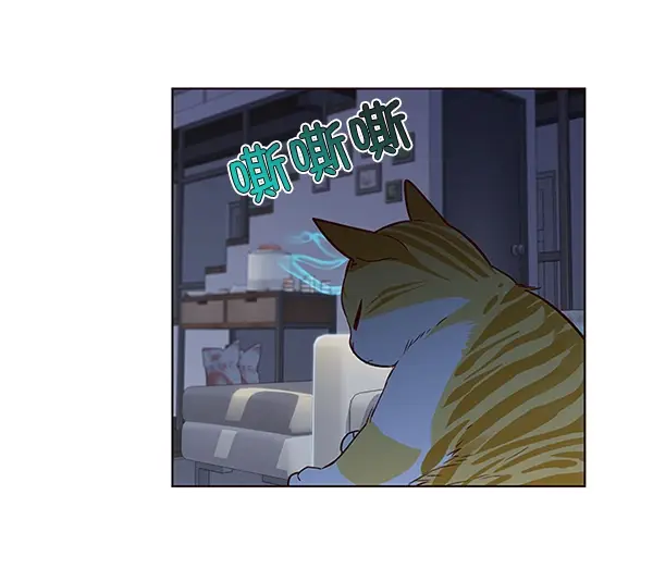 漫画《觉醒吧，铲屎官！》第8话第29张图