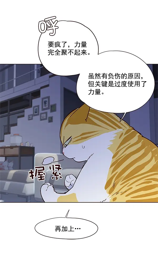 漫画《觉醒吧，铲屎官！》第8话第35张图