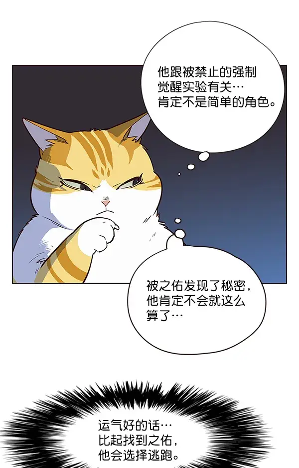 漫画《觉醒吧，铲屎官！》第8话第40张图