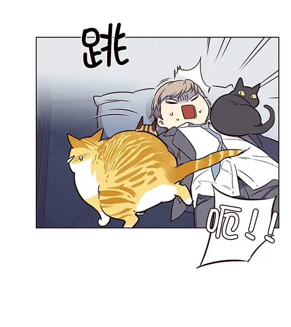 漫画《觉醒吧，铲屎官！》第8话第53张图