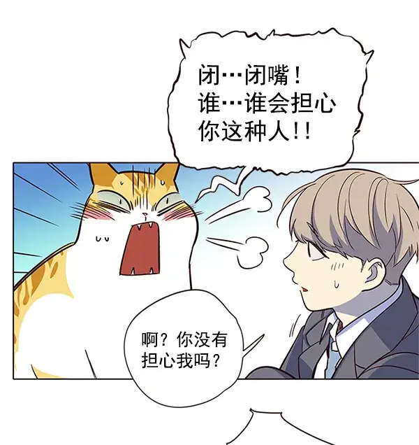 漫画《觉醒吧，铲屎官！》第8话第66张图
