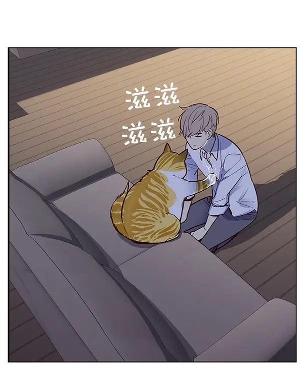 漫画《觉醒吧，铲屎官！》第8话第95张图