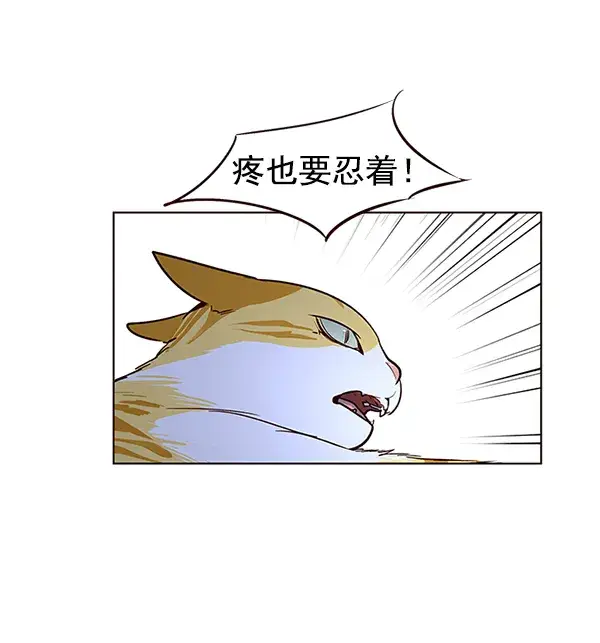 漫画《觉醒吧，铲屎官！》第8话第97张图