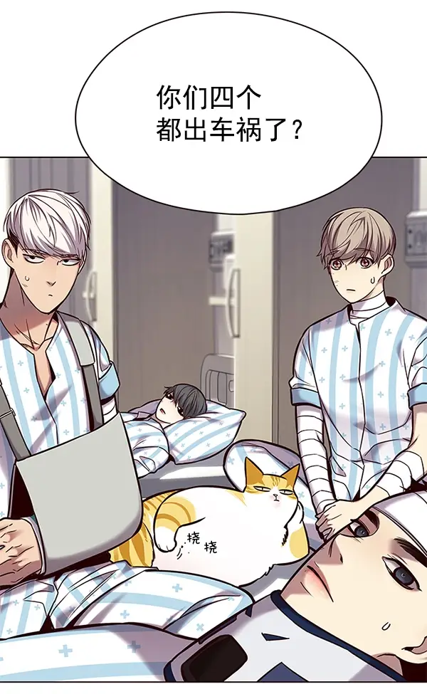 漫画《觉醒吧，铲屎官！》第114话第3张图