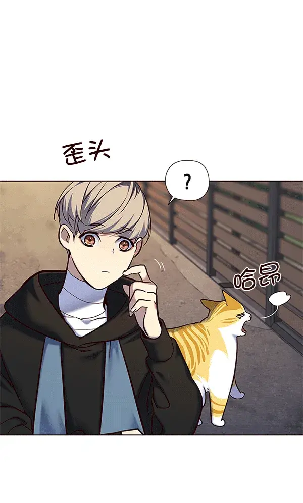 漫画《觉醒吧，铲屎官！》第115话第114张图