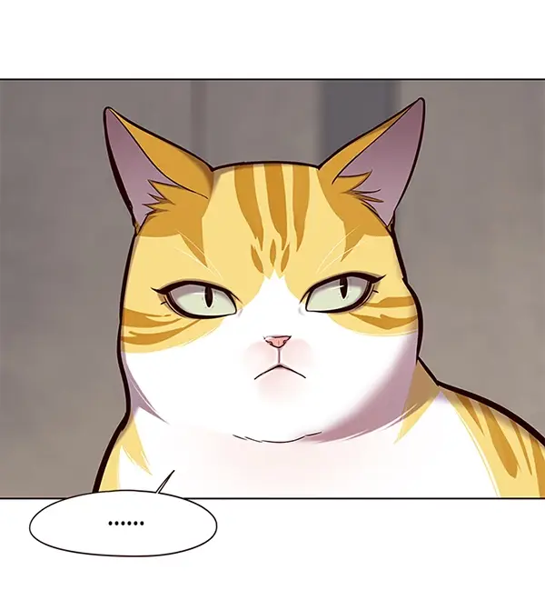 漫画《觉醒吧，铲屎官！》第116话第19张图