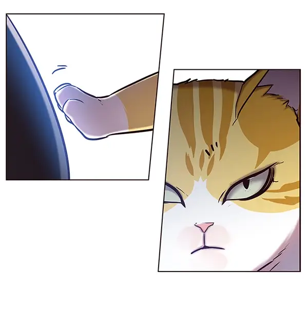 漫画《觉醒吧，铲屎官！》第116话第54张图