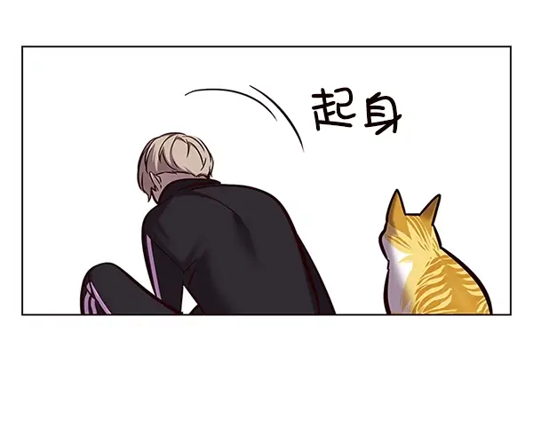 漫画《觉醒吧，铲屎官！》第116话第8张图
