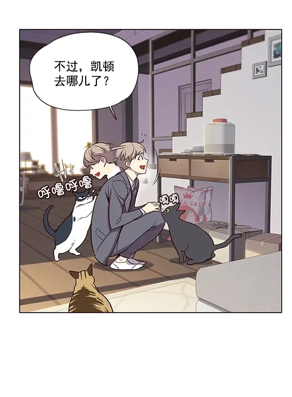漫画《觉醒吧，铲屎官！》第9话第104张图