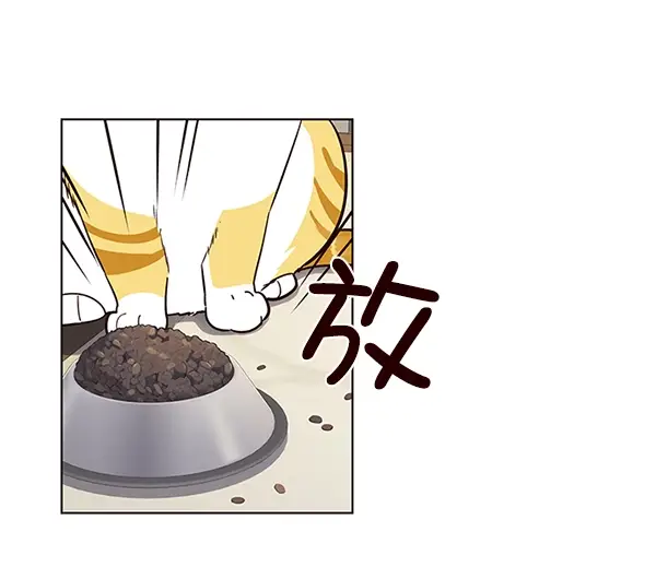 漫画《觉醒吧，铲屎官！》第9话第17张图